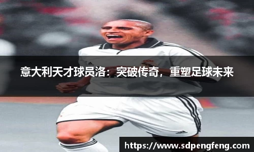 天博克罗地亚官方网站平台