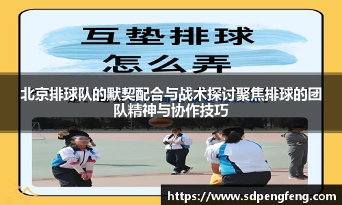 北京排球队的默契配合与战术探讨聚焦排球的团队精神与协作技巧