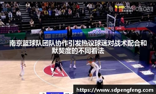 南京篮球队团队协作引发热议球迷对战术配合和默契度的不同看法