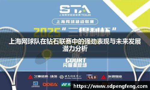 天博克罗地亚网页版入口